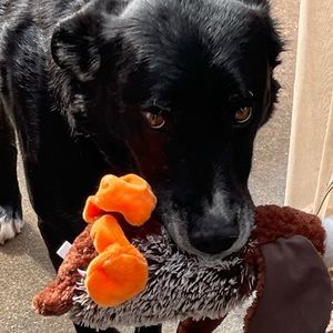 Meet your Posher, Jada